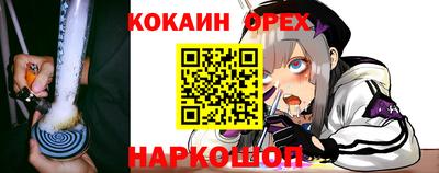 прущие грибы Краснодар