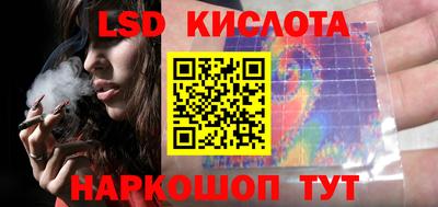 прущие грибы Краснодар