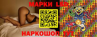 прущие грибы Краснодар