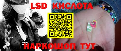 прущие грибы Краснодар