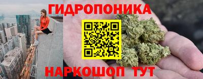 прущие грибы Краснодар