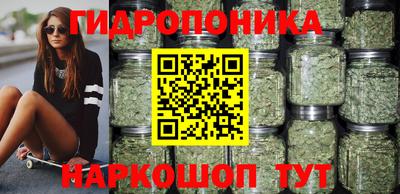 прущие грибы Краснознаменск