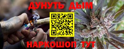 прущие грибы Краснознаменск
