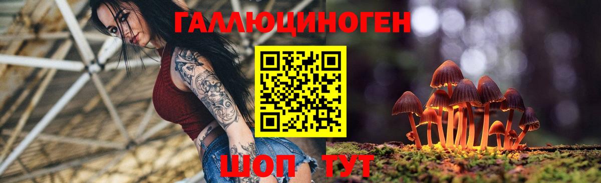 Псилоцибиновые грибы прущие грибы Каменск-Уральский