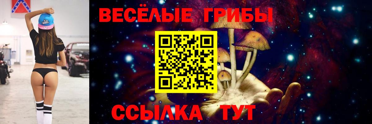 Галлюциногенные грибы прущие грибы  Галлюциногенные грибы MAGIC MUSHROOMS  Вход с VPN  Каменск-Уральский 